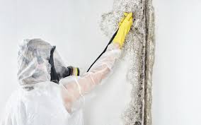 Asbestos and Lead Testing During Mold Inspection in Mechanicsburg, PA